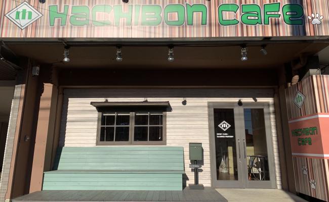 初恋クリームソーダ|HACHIBONcafe｜